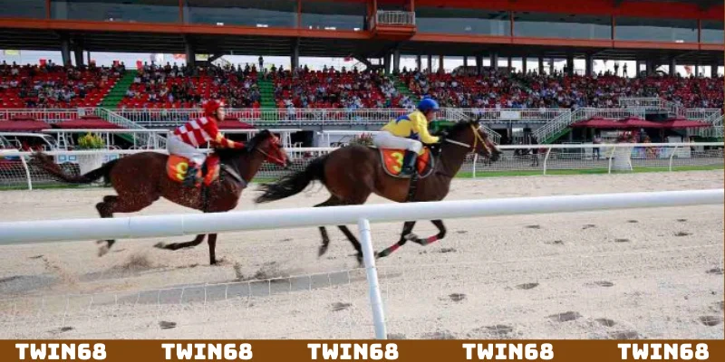 Hệ thống cửa cược khi tham gia đua ngựa Twin68