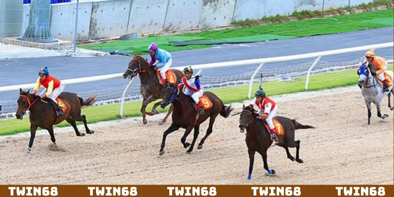 Theo dõi đua ngựa Twin68 đẳng cấp hàng đầu